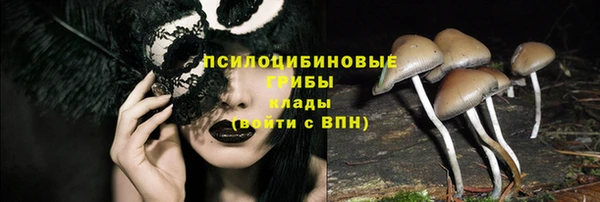 гидра Нея