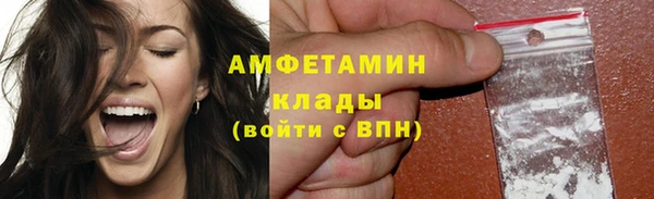 гидра Нея