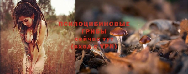 гидра Нея