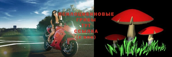 амф Нефтегорск