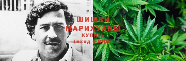 гидра Нея
