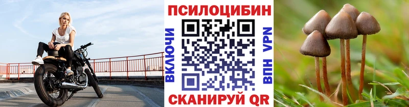 Купить  Павловск  Галлюциногенные грибы Psilocybine cubensis 